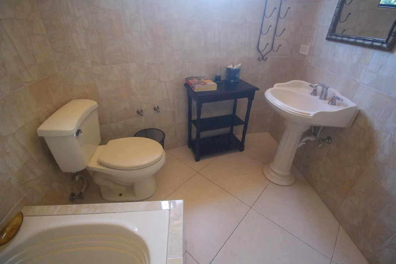 Luxury 10 Bedroom Villa-Millbrooks Montego Bay 0*,