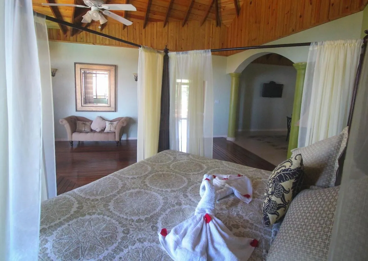 Villa Luxury 10 Bedroom Villa-Millbrooks Montego Bay