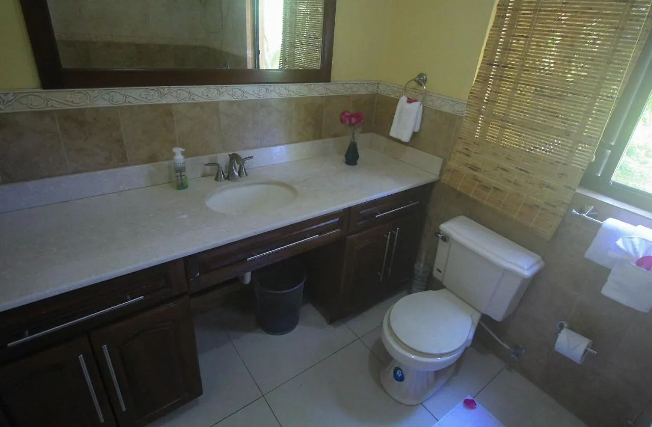 Luxury 10 Bedroom Villa-Millbrooks Montego Bay 0*,
