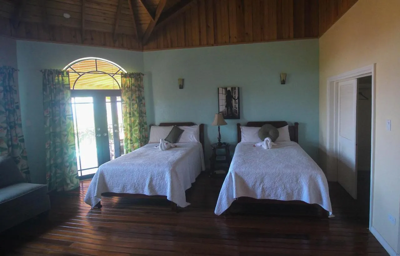 Luxury 10 Bedroom Villa-Millbrooks Montego Bay 0*,
