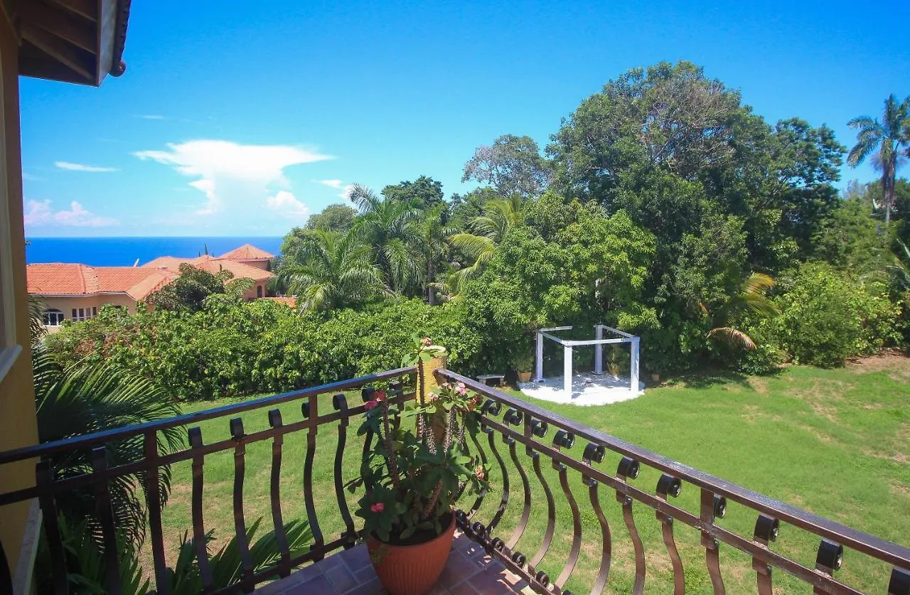 Villa Luxury 10 Bedroom Villa-Millbrooks Montego Bay