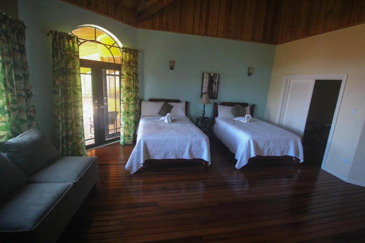 Villa Luxury 10 Bedroom Villa-Millbrooks Montego Bay
